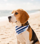 Maritimes Hundehalstuch Domburg | gestreift | Hunde Bandana aus Baumwolle | wird übers Halsband gestreift