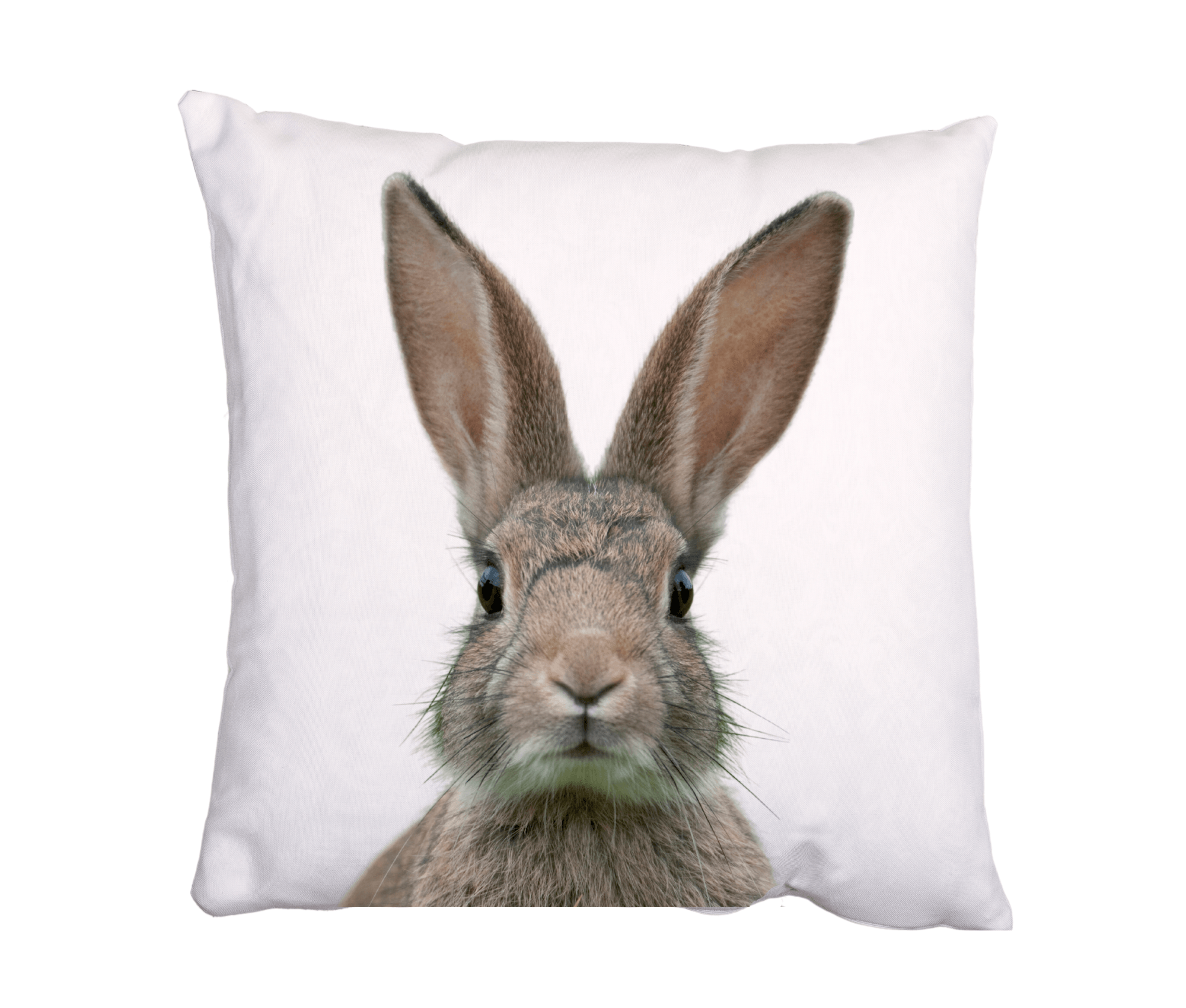 Osterkissen Osterhase | Baumwollkissen in 40x40 cm mit Füllung - Roo's Gift Shop