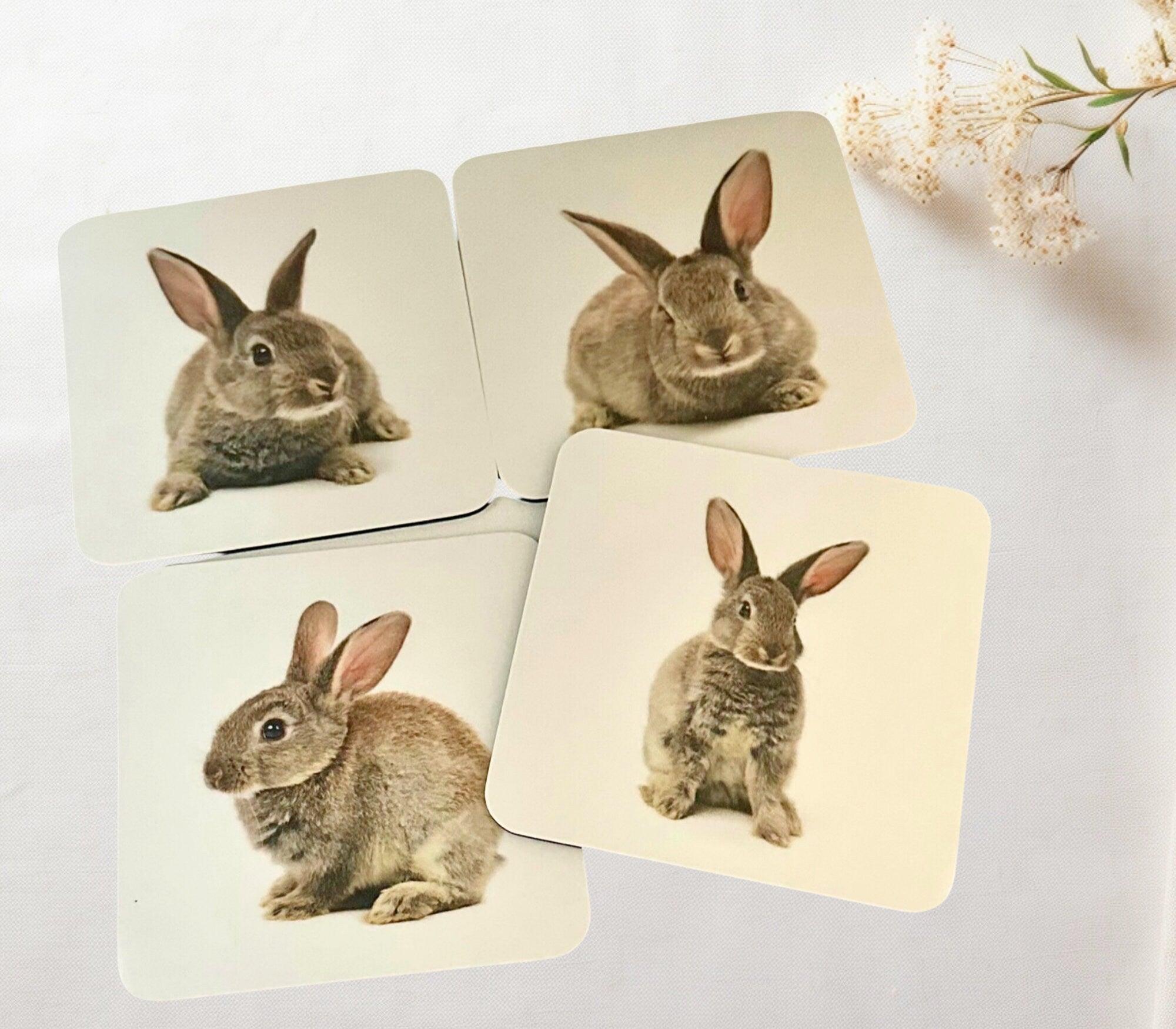 Untersetzer | Gläseruntersetzer Oster Hase | Diverse Motive - Roo's Gift Shop