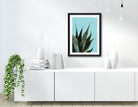 Poster | Natur | Agave | Palme | Blätter Roo's Gift Shop
