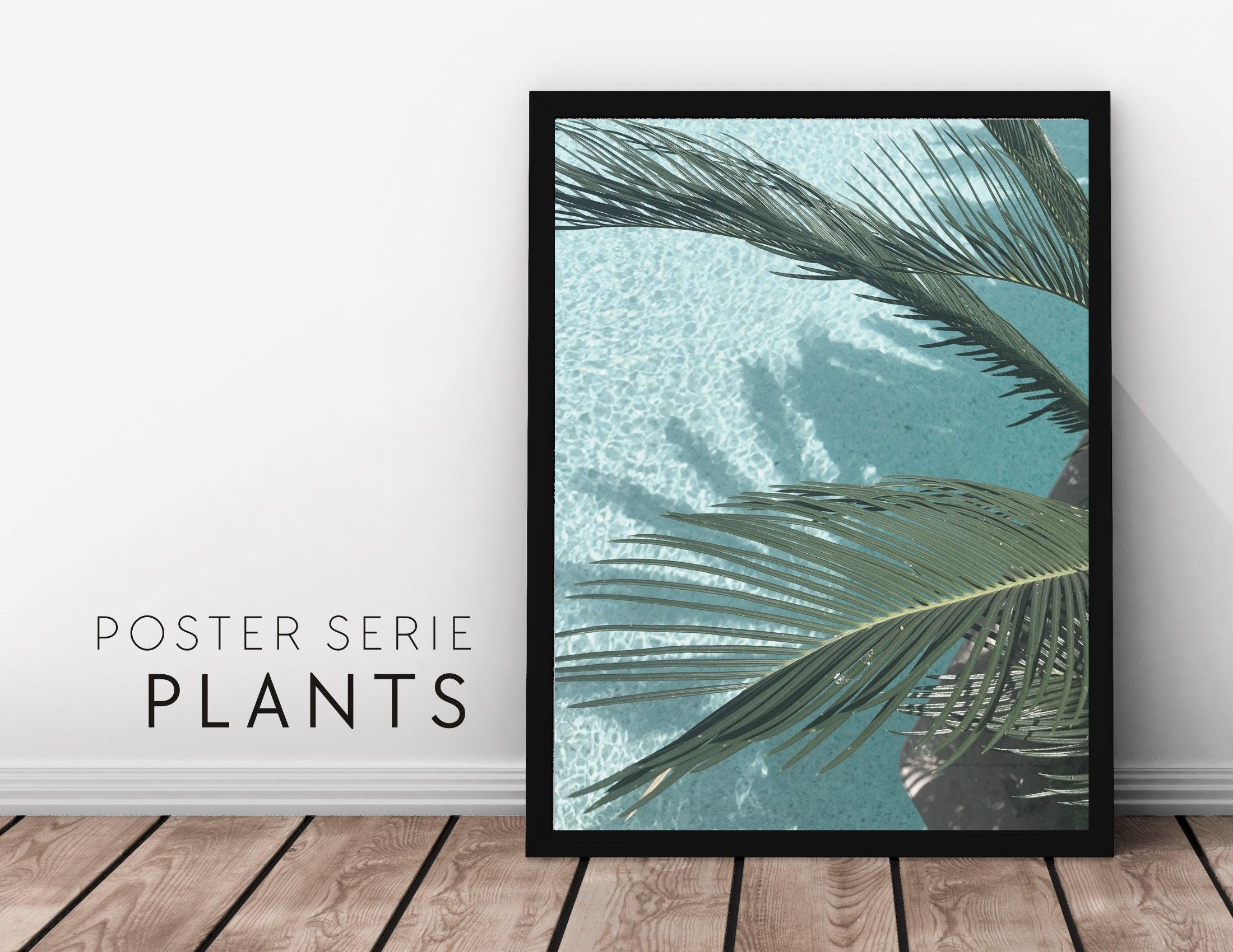 Poster | Natur | Agave | Palme | Blätter - Roo's Gift Shop