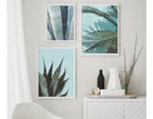 Poster | Natur | Agave | Palme | Blätter Roo's Gift Shop