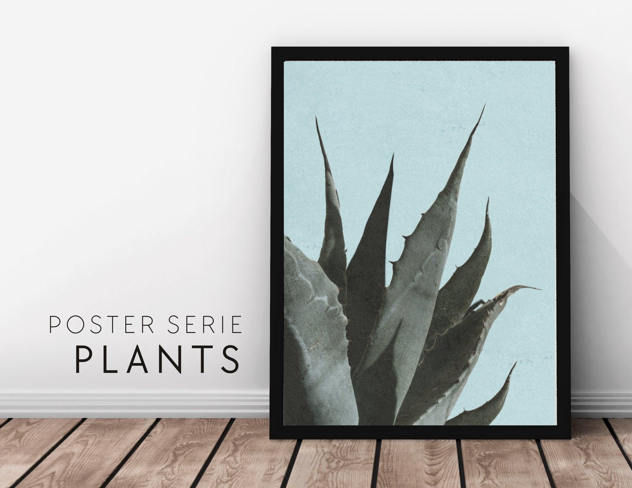 Poster | Natur | Agave | Palme | Blätter - Roo's Gift Shop