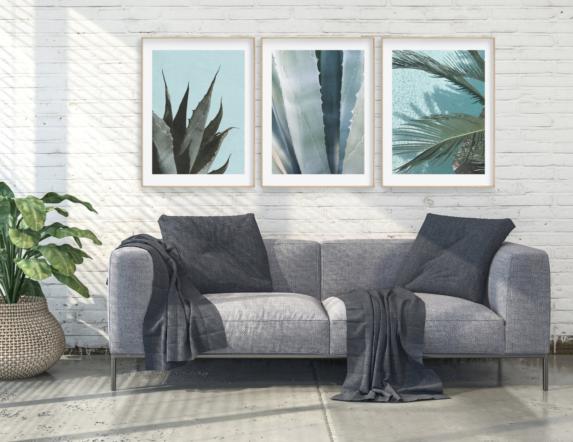 Poster | Natur | Agave | Palme | Blätter Roo's Gift Shop
