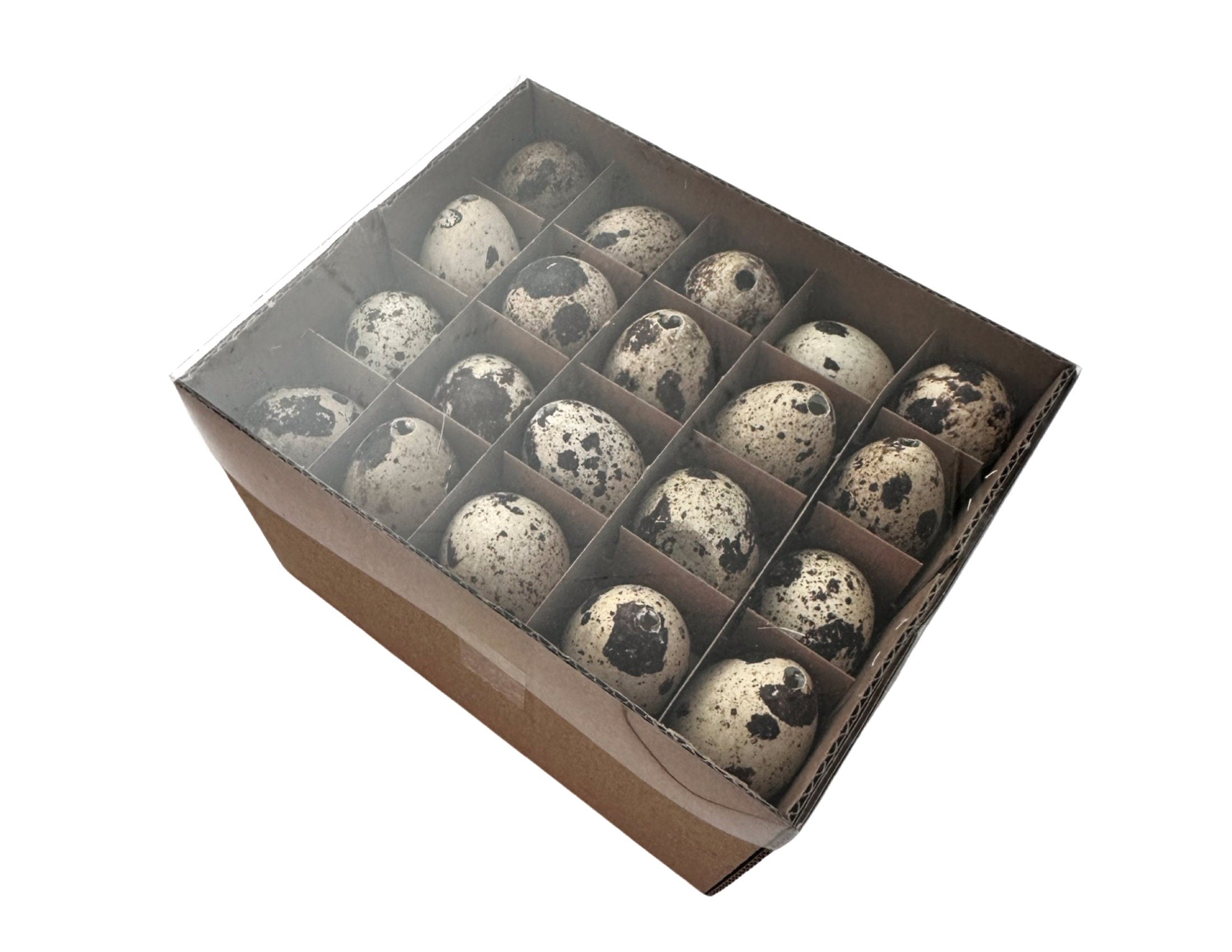 Wachtel Eier | 24 Stck weiß oder 60 Stck natur