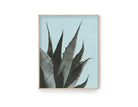 Poster | Natur | Agave | Palme | Blätter - Roo's Gift Shop