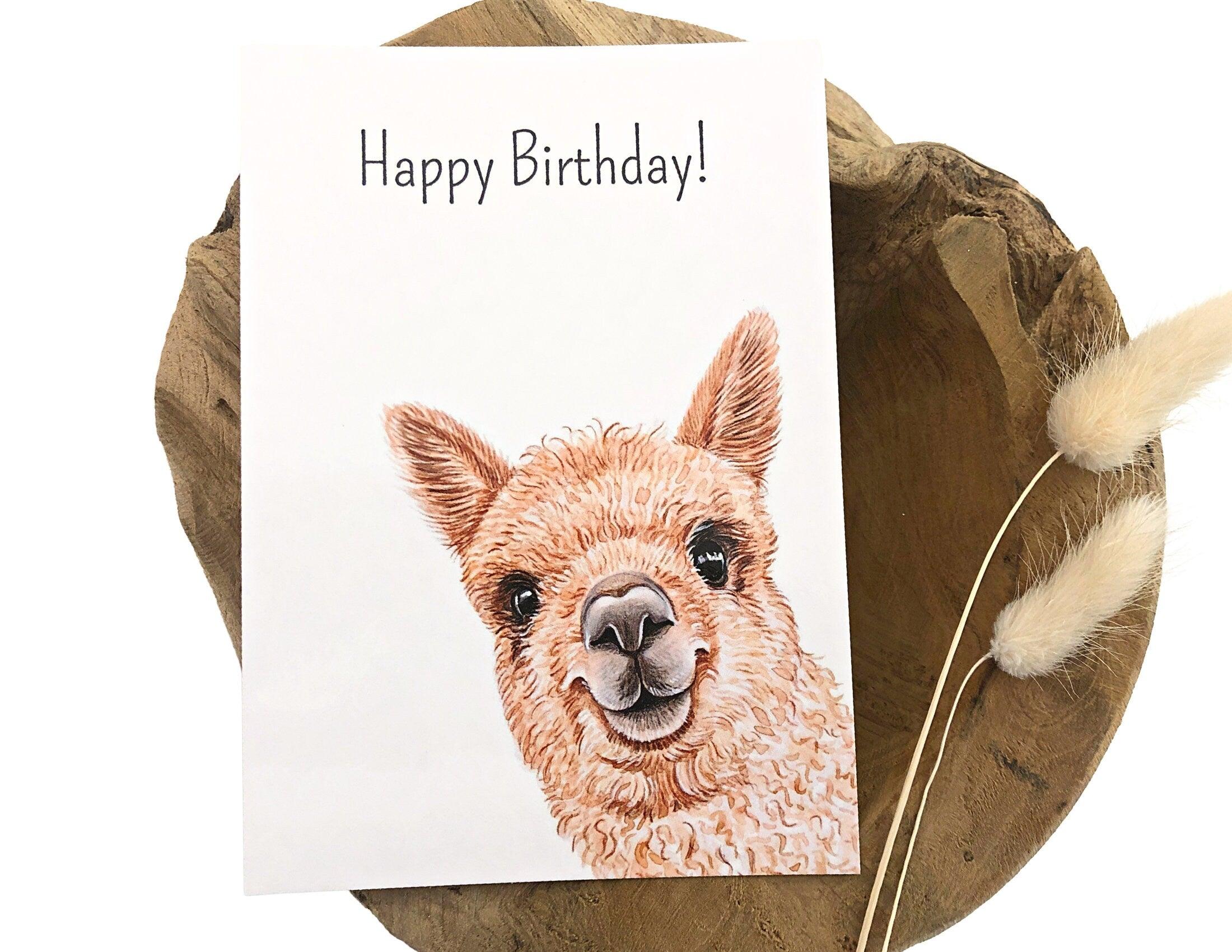 Karte | Tierbabys | Zebra, Lama, Ferkel, Waschbär, Panda - Roo's Gift Shop