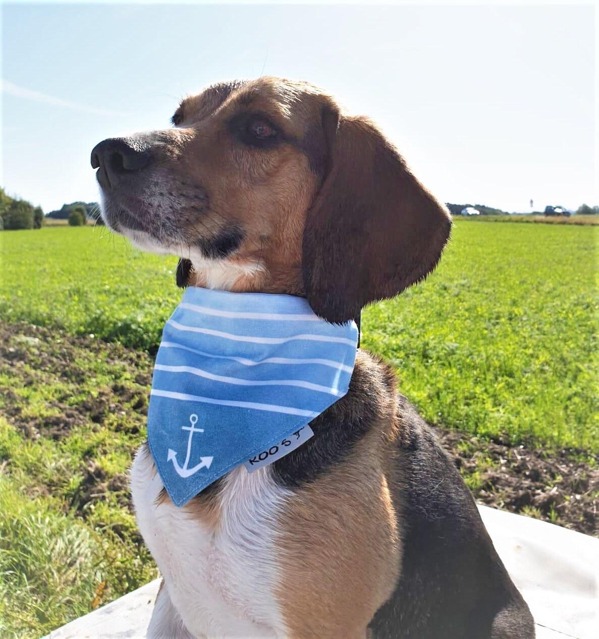 Maritimes Hundehalstuch mit Anker | dunkelblaues Hunde Bandana - Roo's Gift Shop