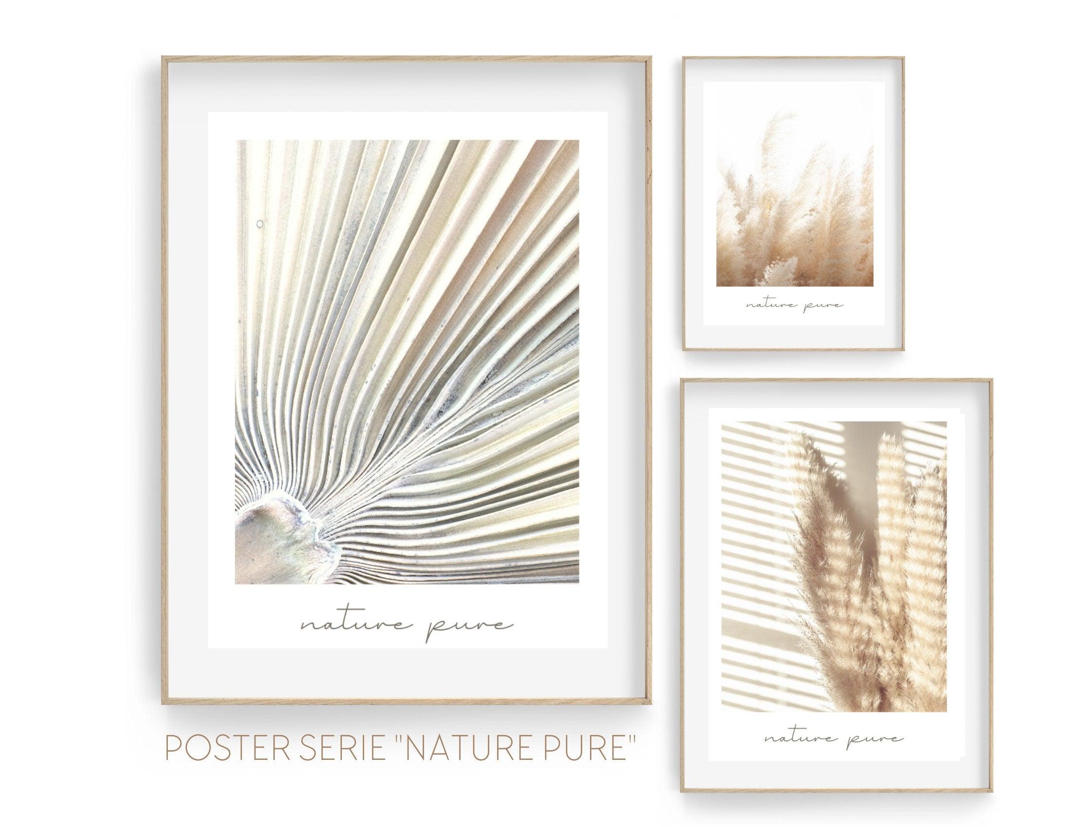 Poster | Natur | Palmen | Gräser | Pampas - Roo's Gift Shop
