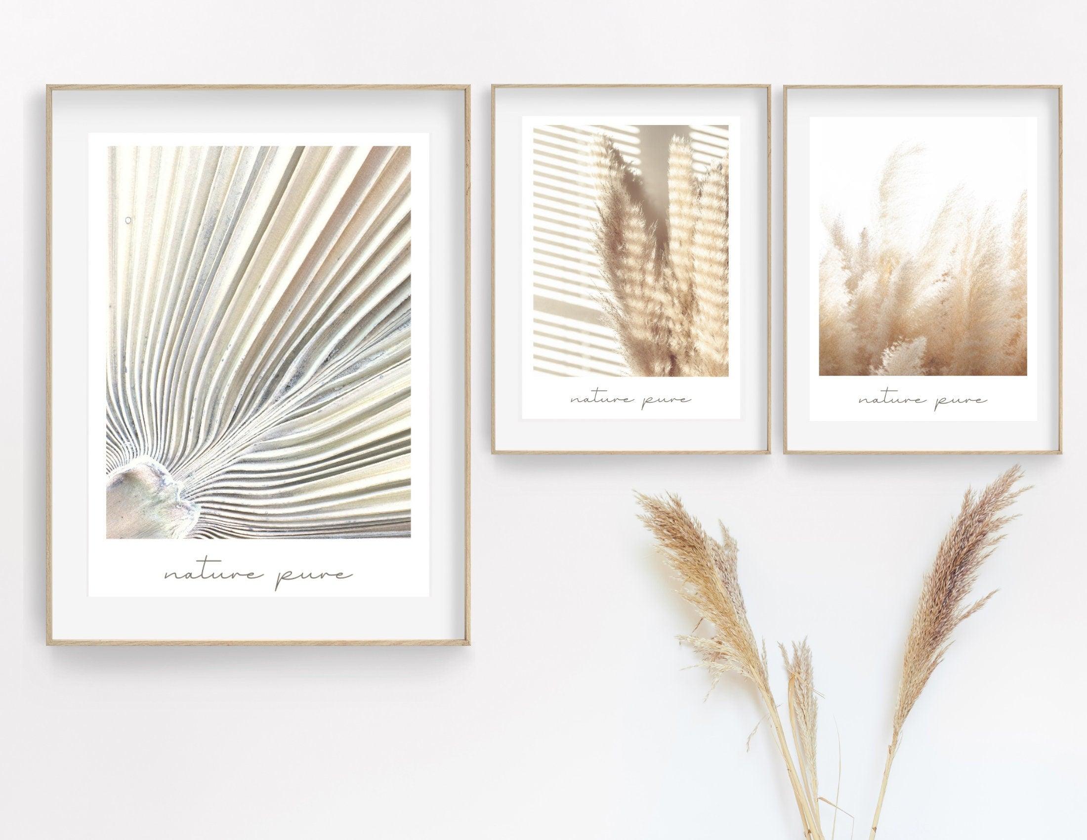 Poster | Natur | Palmen | Gräser | Pampas - Roo's Gift Shop