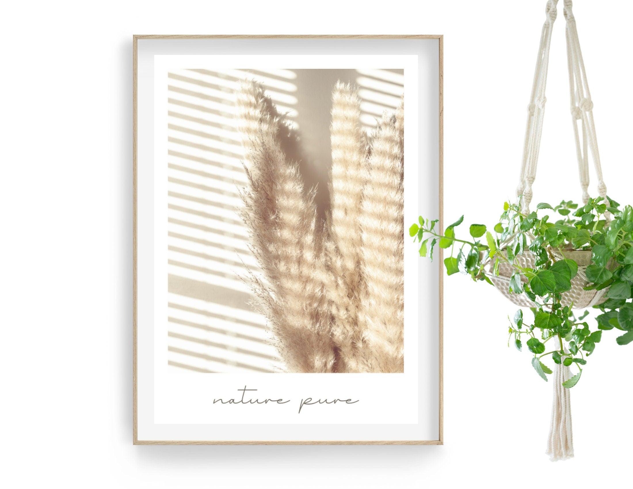 Poster | Natur | Palmen | Gräser | Pampas - Roo's Gift Shop