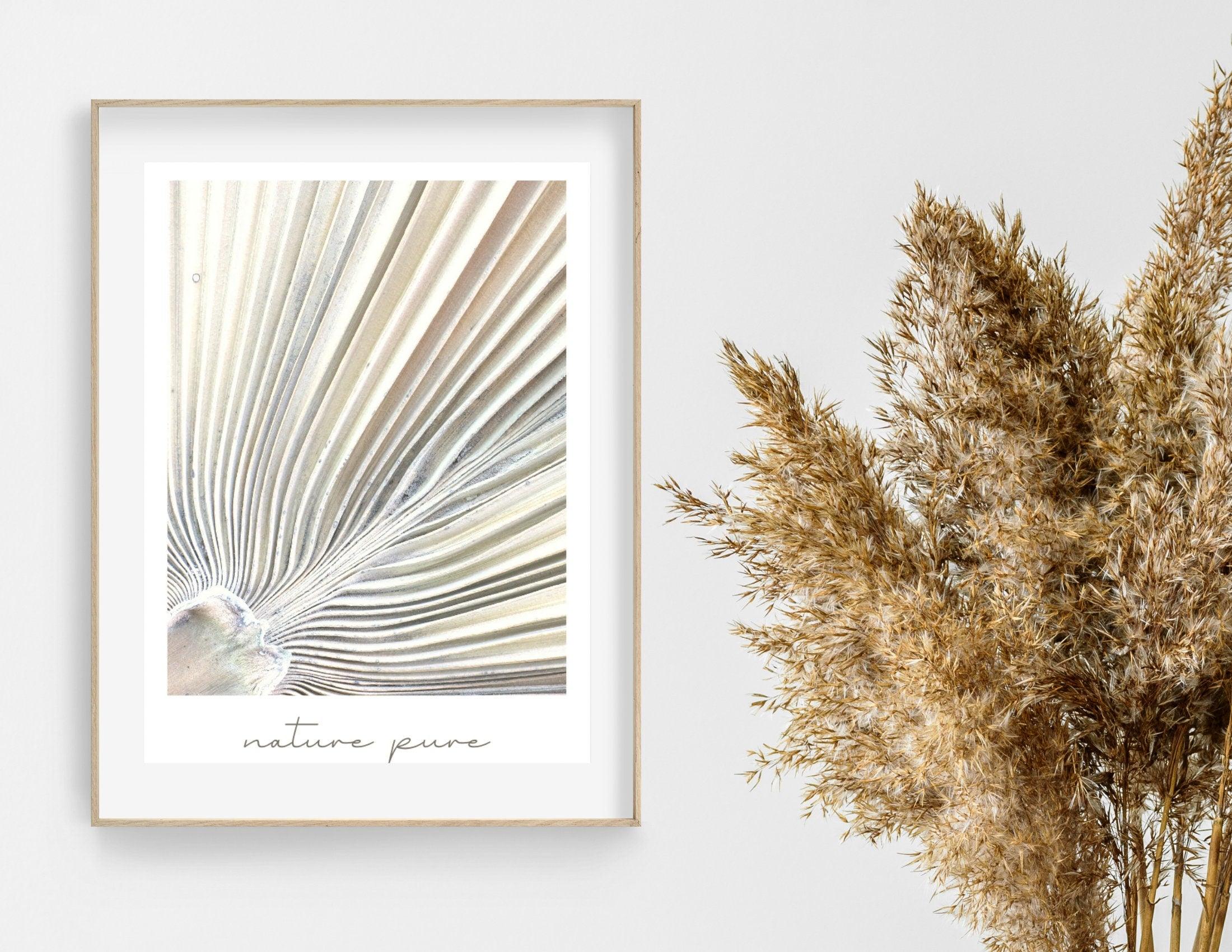 Poster | Natur | Palmen | Gräser | Pampas - Roo's Gift Shop