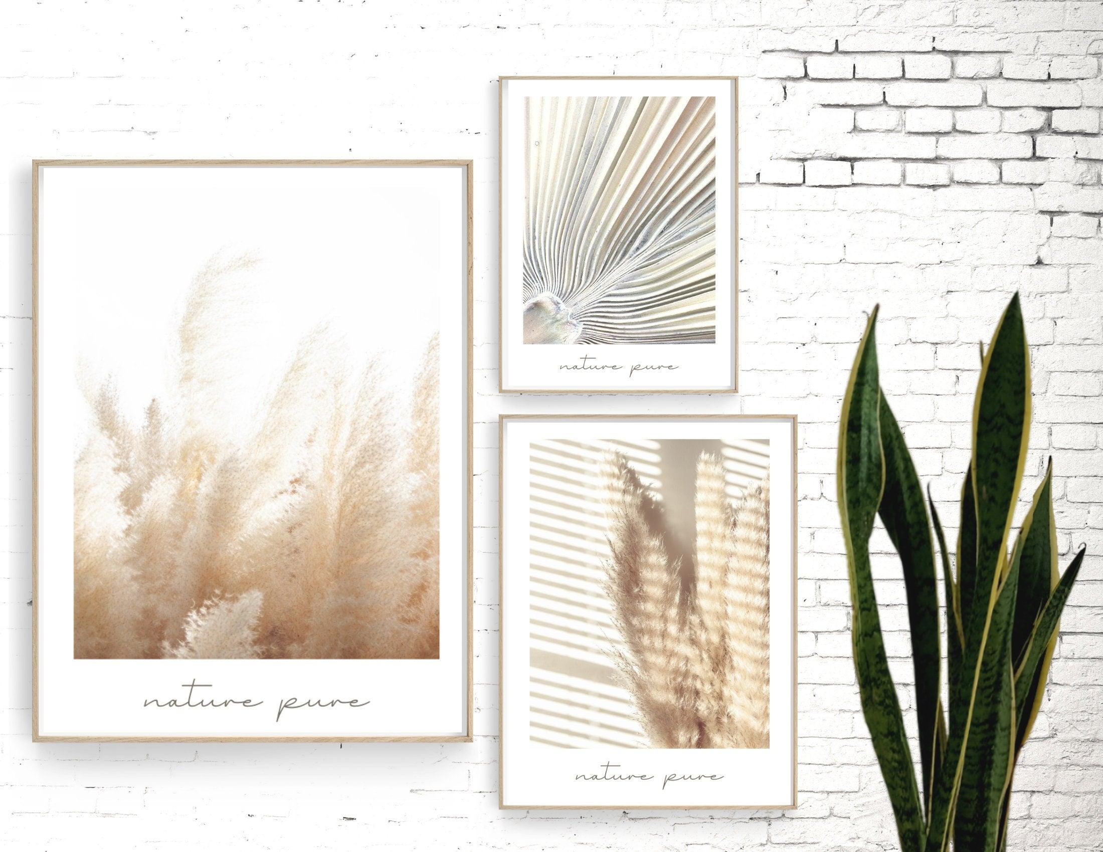 Poster | Natur | Palmen | Gräser | Pampas - Roo's Gift Shop