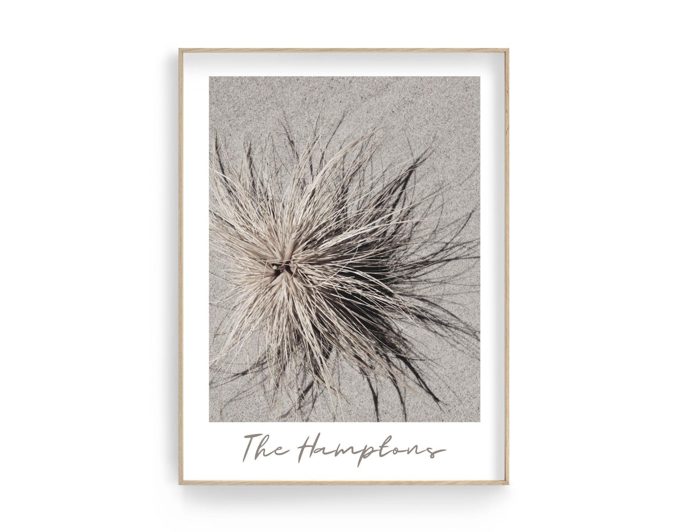 Poster | The Hamptons | Düne | Strandgras - Roo's Gift Shop