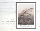 Poster | The Hamptons | Strandgras Gräser - Roo's Gift Shop