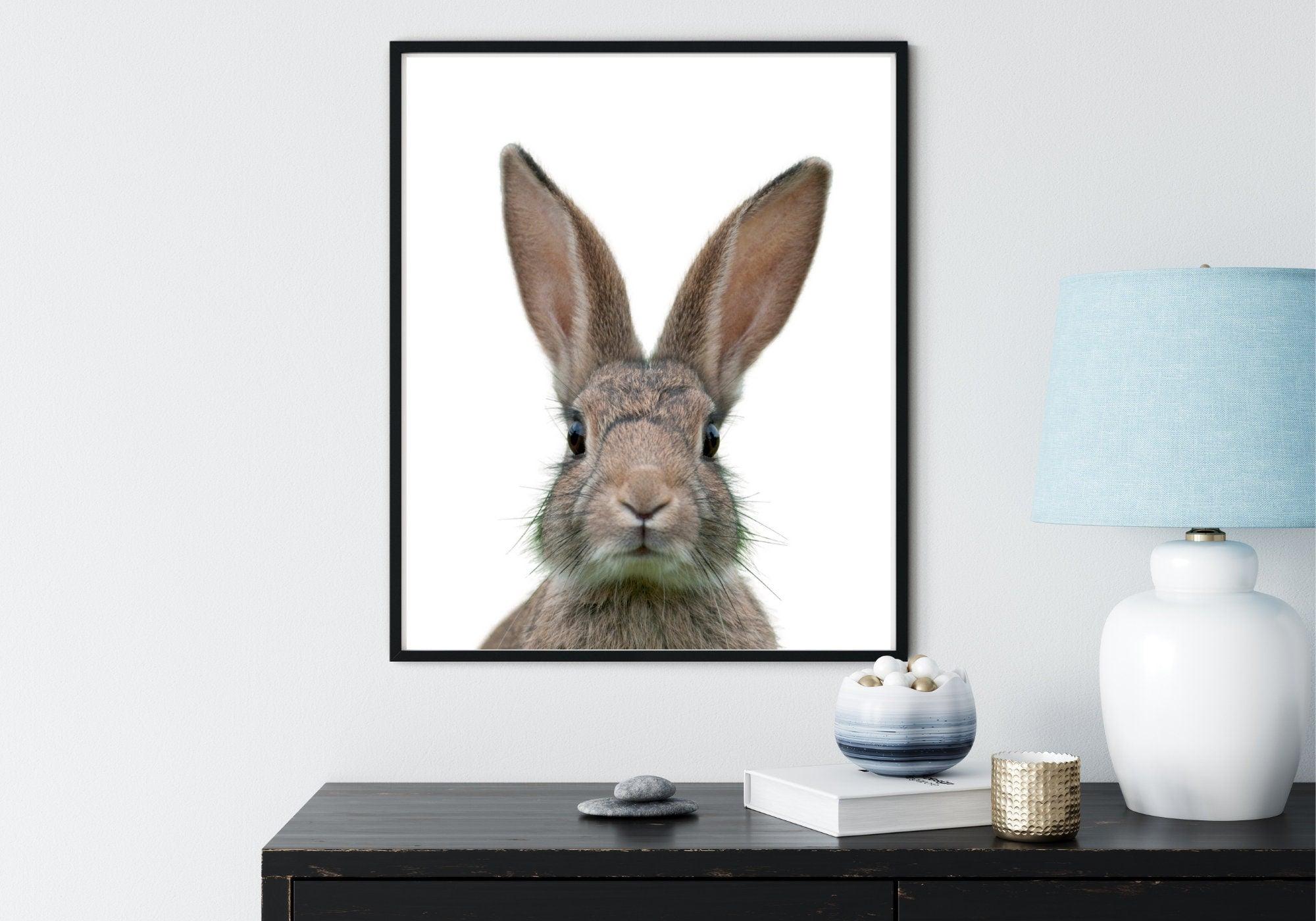 Poster | Tierposter Hase | Osterhase - Roo's Gift Shop