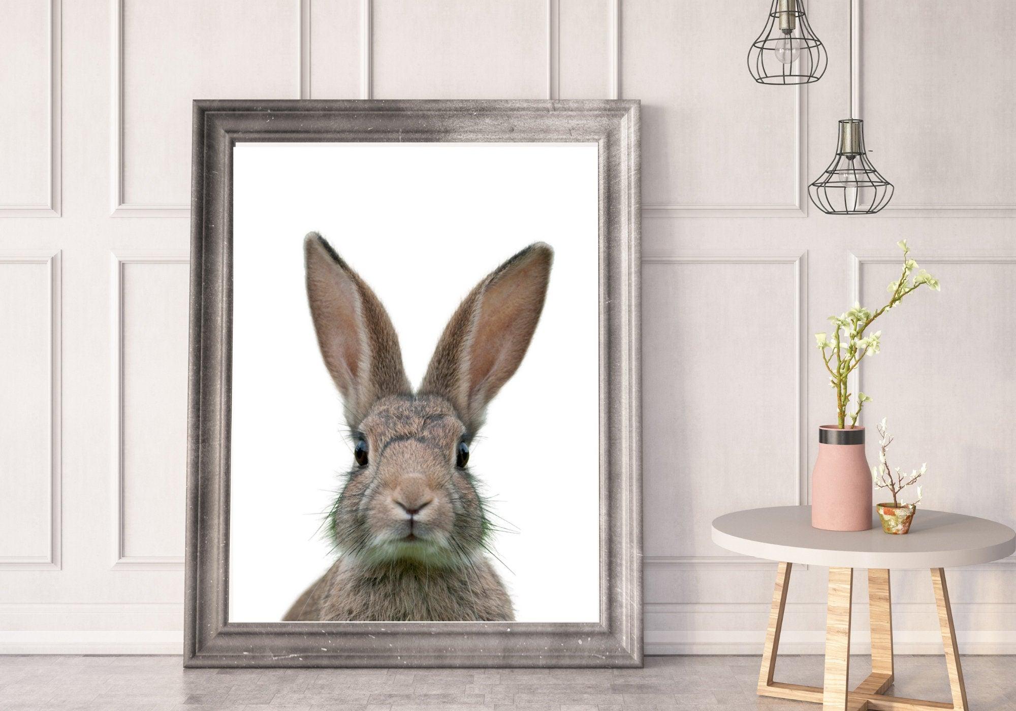 Poster | Tierposter Hase | Osterhase - Roo's Gift Shop
