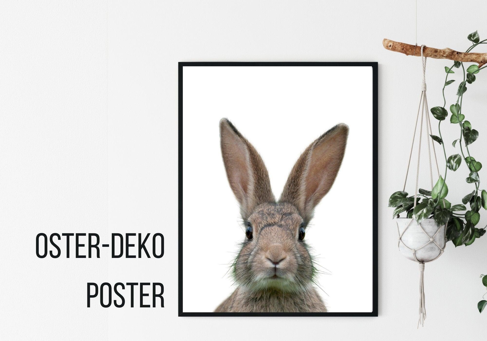 Poster | Tierposter Hase | Osterhase - Roo's Gift Shop
