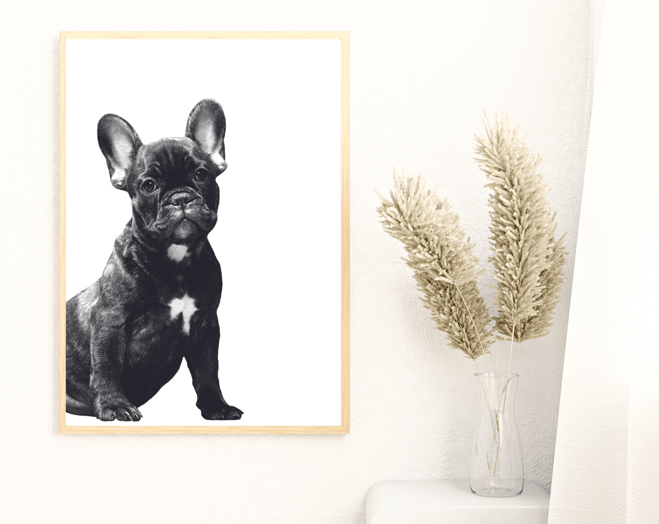 Poster | Tierposter Hund | schwarz weiß | French Bulldogge Frenchie - Roo's Gift Shop