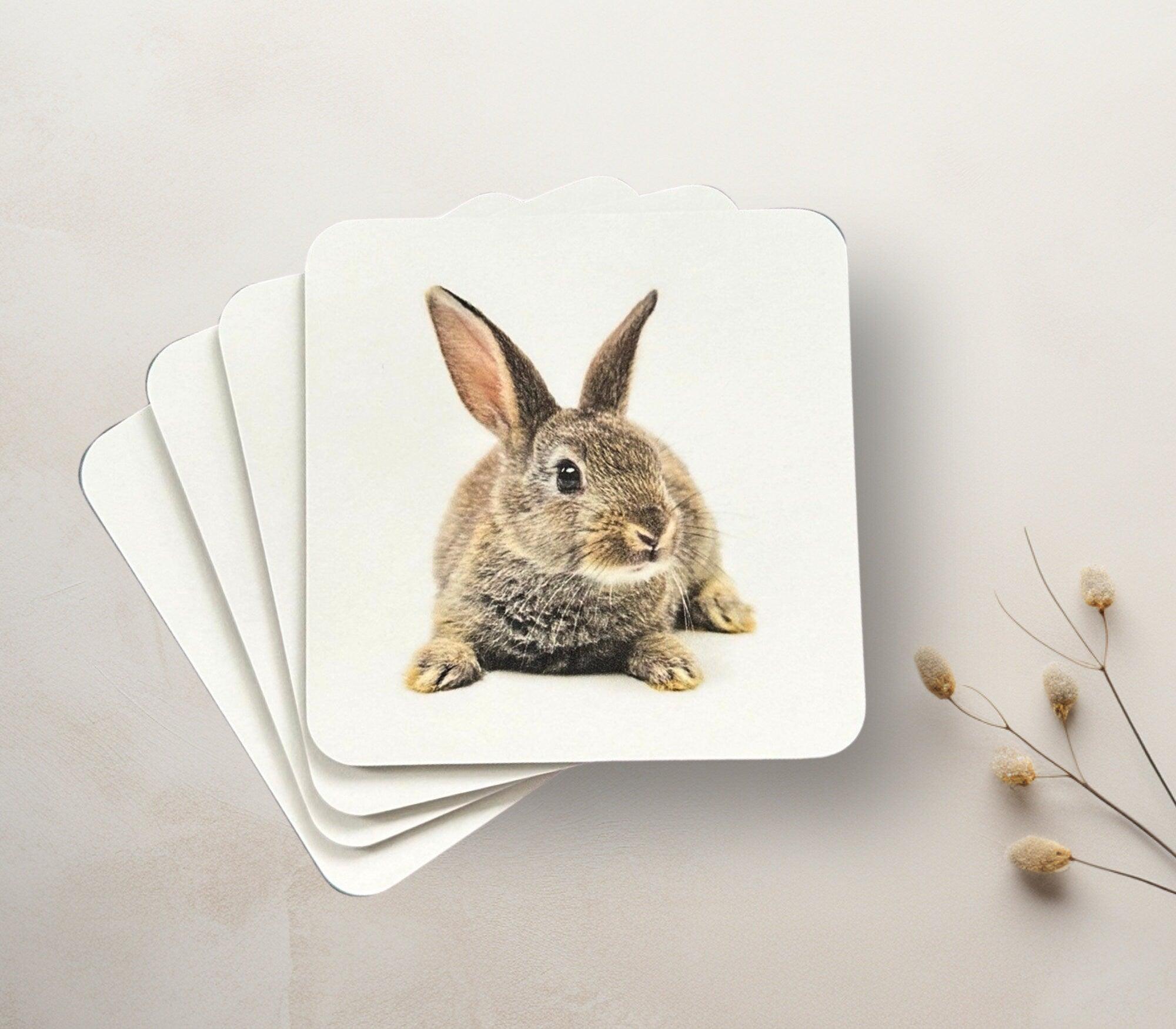 Untersetzer | Gläseruntersetzer Oster Hase | Diverse Motive - Roo's Gift Shop