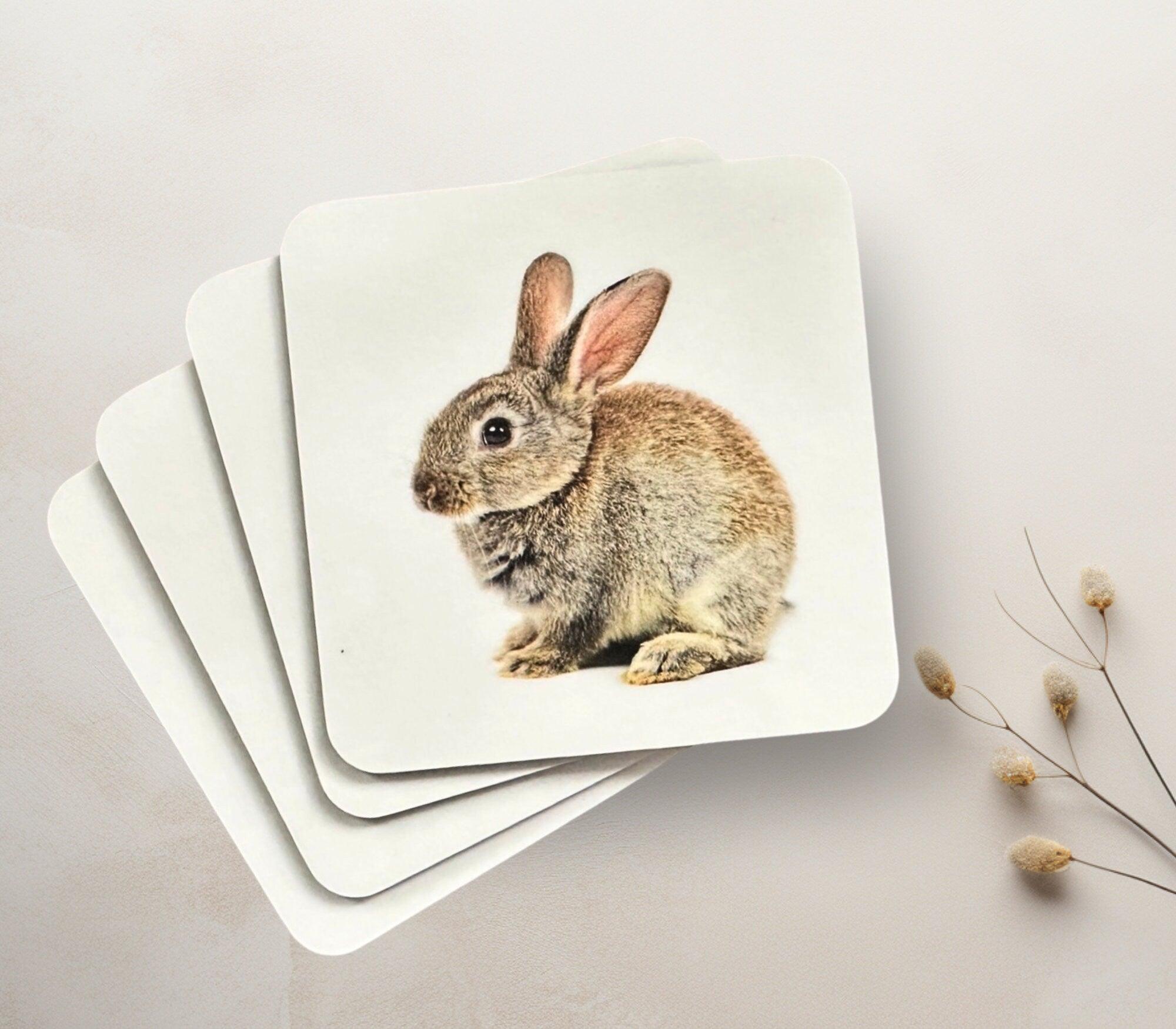 Untersetzer | Gläseruntersetzer Oster Hase | Diverse Motive - Roo's Gift Shop