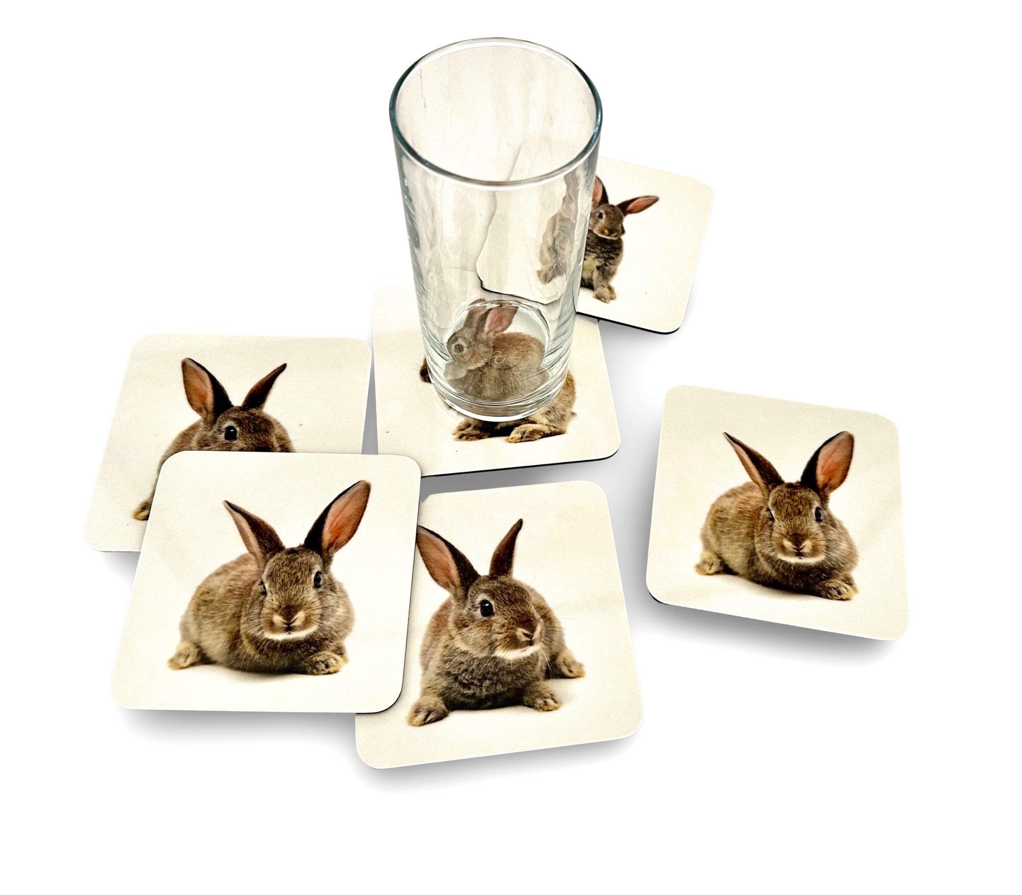 Untersetzer | Gläseruntersetzer Oster Hase | Diverse Motive - Roo's Gift Shop